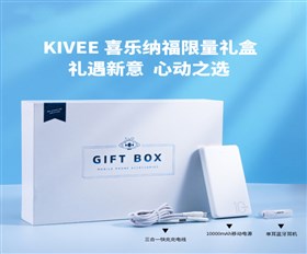 数码礼盒套装三件套 耳机+移动电源+一拖三数据线 商务数码礼盒礼品