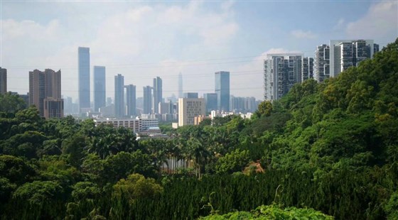 MIDU小伙伴随手一拍的美丽大深圳