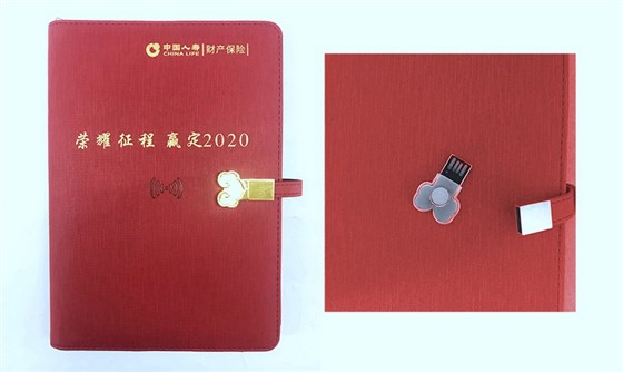 MIDU-中国人寿定制案例