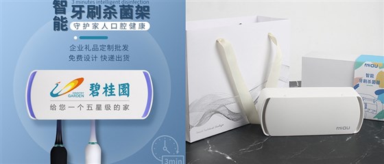 商务礼品牙刷消毒架