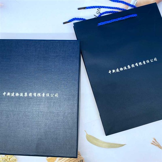 七彩灯电源本+中新建物流集团+物流行业 (5)_副本