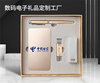 价格有优势又有实力的数码电子礼品工厂有靠谱的推荐吗？