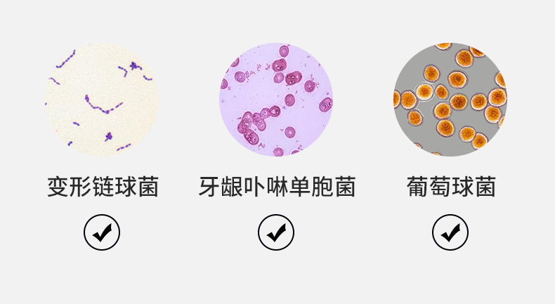 LED智能杀菌牙刷盒