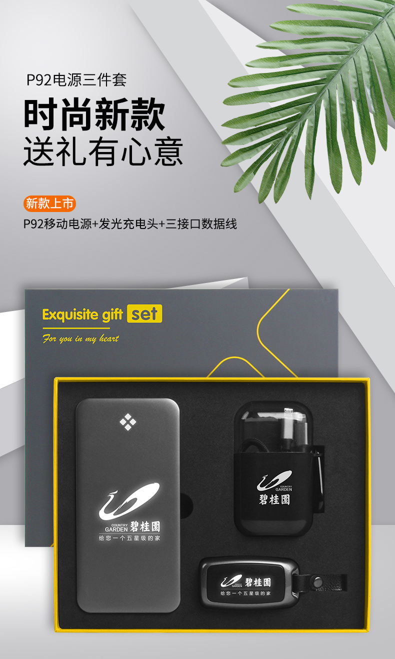 充电宝定制