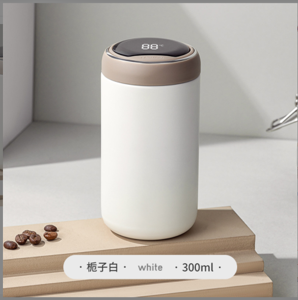公司纪念品