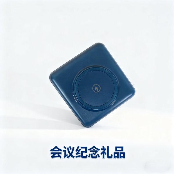 会议纪念礼品 (2)